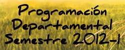 Programaci�n Departamental para el semestre 2012-1